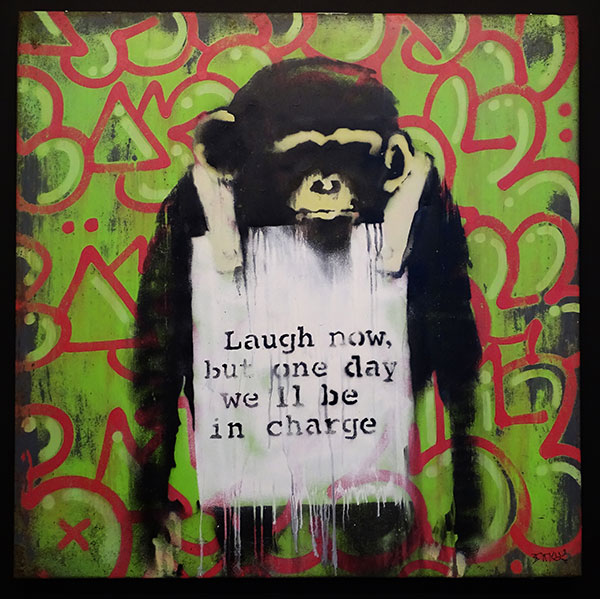 laugh-now-monkey