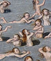 cranach